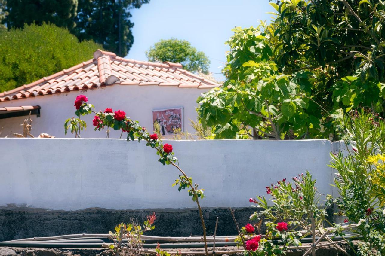 La Casa De La Cartita Villa Puntagorda Exteriör bild